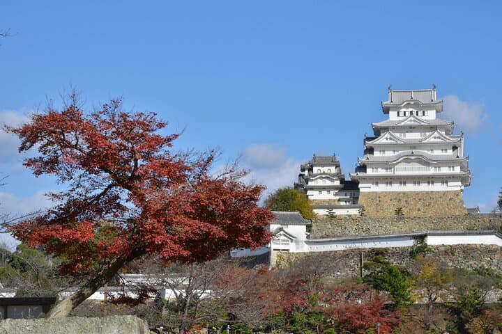 Japanese Sword Workshop & Himeji Castle Guided Tour from Kyoto — photo 17