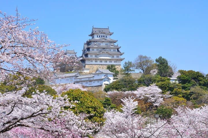 Japanese Sword Workshop & Himeji Castle Guided Tour from Kyoto — photo 3