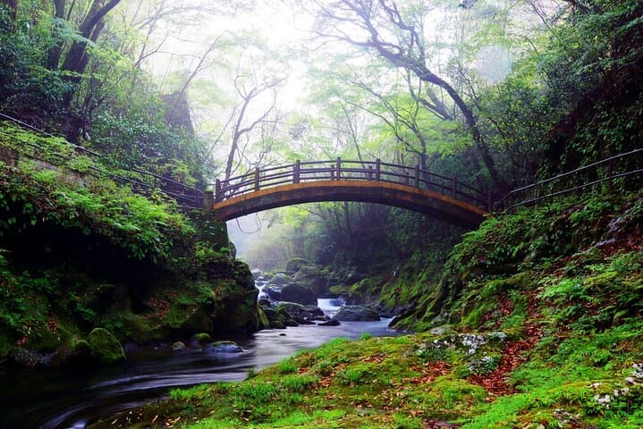 Fukuoka: Mt.Aso, Miyazaki, Takachiho Gorge with Beef Lunch Tour — photo 15