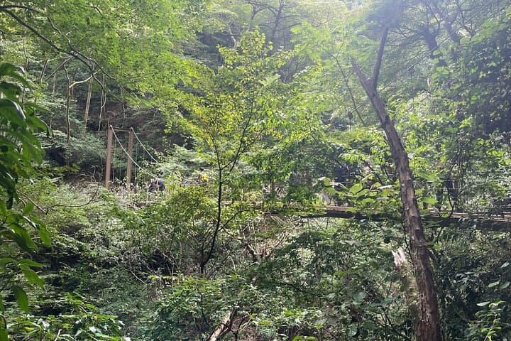 Mt. Takao Half Day Hike Tengu Legends and Scenic Photo Spots — photo 6