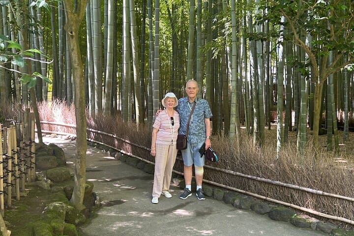 Shuttle Van Kamakura Tour to-and-from Tokyo, Yokohama and Narita — photo 9