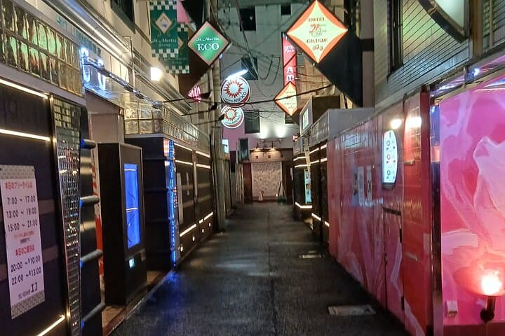 Tokyo Downtown Akihabara Tour And Dinner Party Adults Only — photo 5