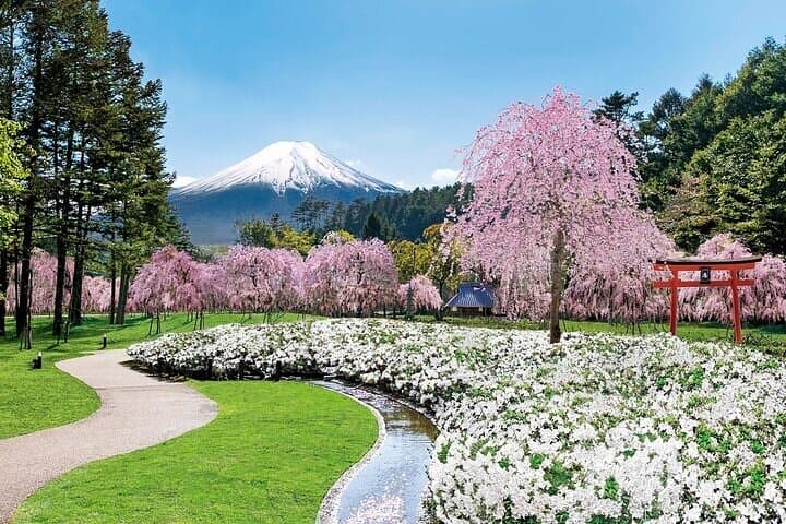 Mt Fuji and Hakone 1 Day Bus Tour Return by Bullet Train — photo 8