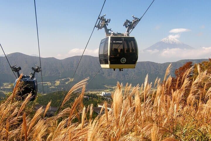 Mt Fuji and Hakone 1 Day Bus Tour Return by Bullet Train — photo 9