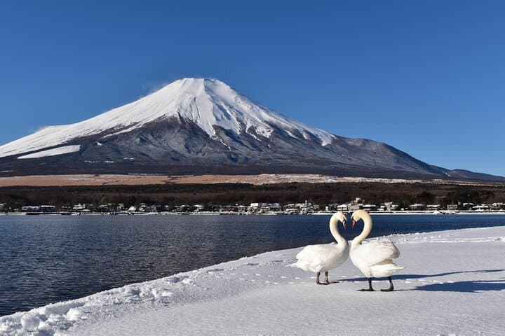 Mount Fuji Private Tour With English Guide Fully Customizable — photo 6