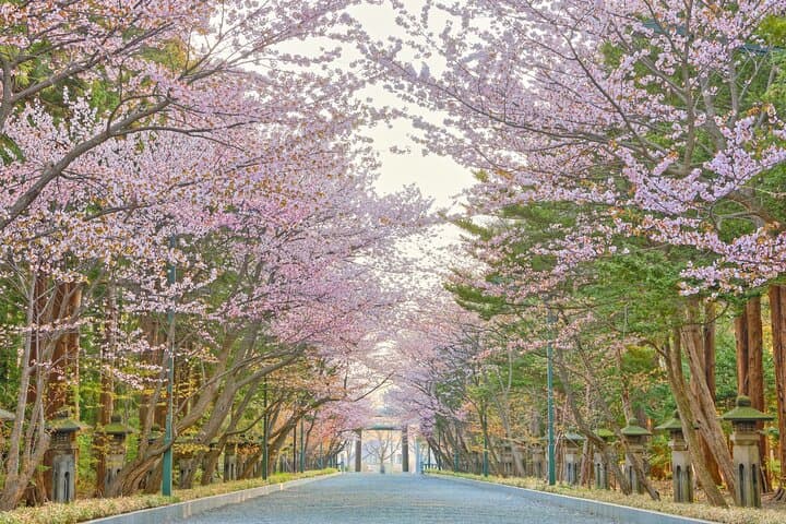 Leisurely Kyoto Half Day Walking Tour — photo 5