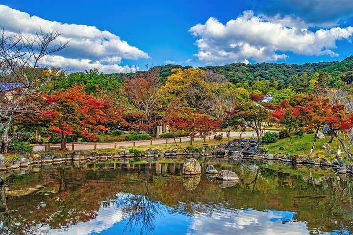 Leisurely Kyoto Half Day Walking Tour — photo 6