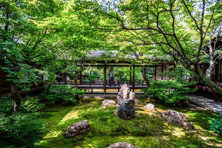 Leisurely Kyoto Half Day Walking Tour — photo 13