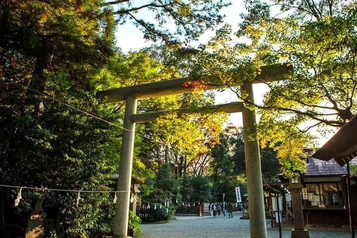 Takachiho Gorge & Shirakawa Suigen Day Tour with Lunch | Fukuoka — photo 6