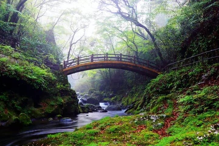 Takachiho Gorge & Shirakawa Suigen Day Tour with Lunch | Fukuoka — photo 7