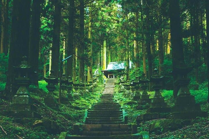 Takachiho Gorge & Shirakawa Suigen Day Tour with Lunch | Fukuoka — photo 18