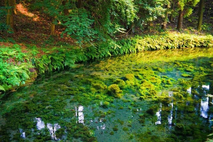 Takachiho Gorge & Shirakawa Suigen Day Tour with Lunch | Fukuoka — photo 11