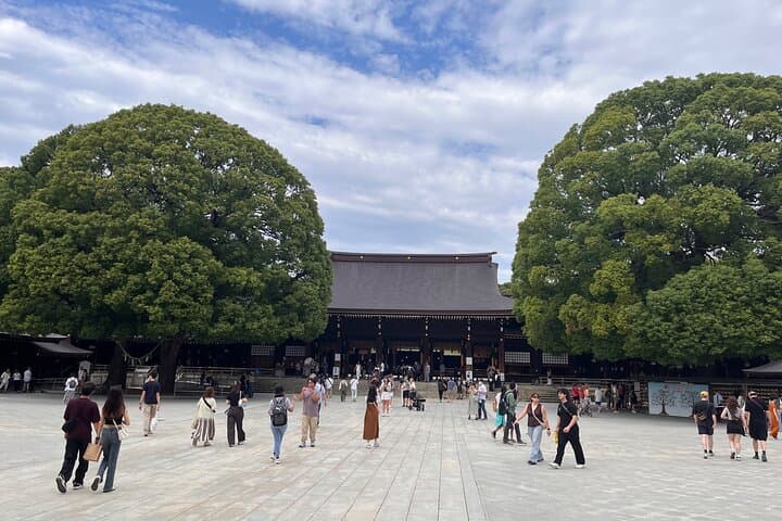 Tokyo's Quick tour perfet Experience!! Tsukiji Asakusa and more — photo 13