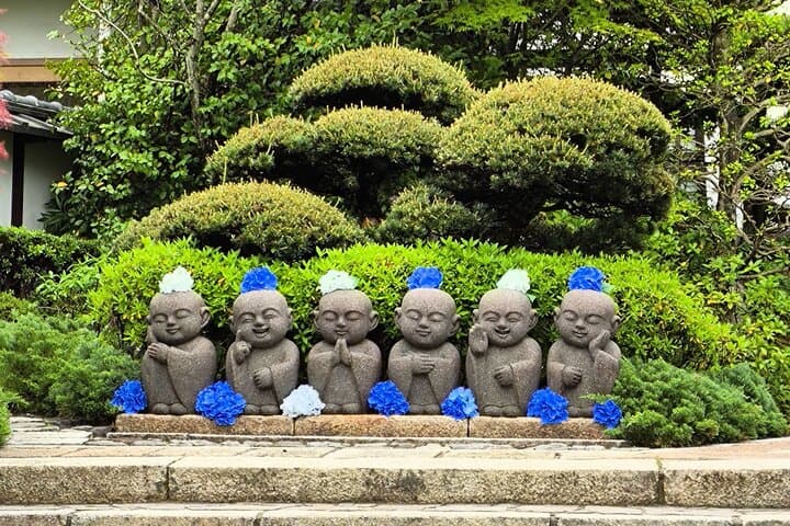 Kyoto Hidden Local Cherry Blossom Spot and Zen Garden — photo 9