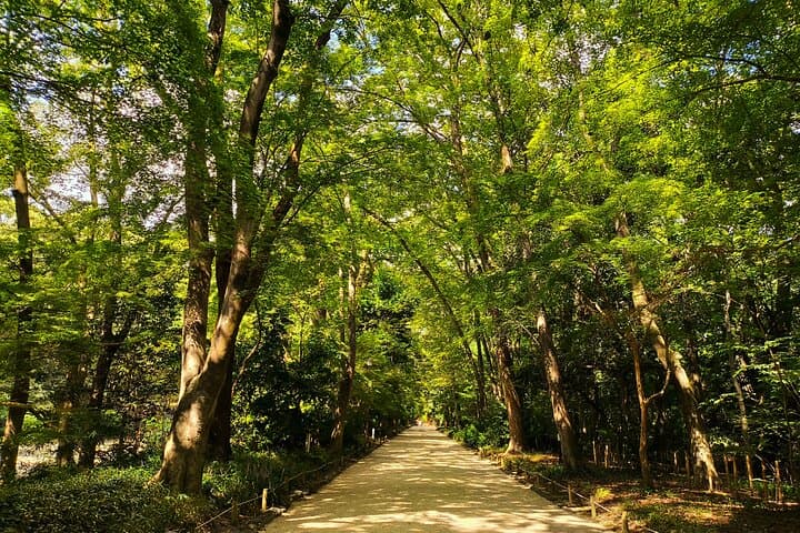 Kyoto Off The Beaten Path: Hidden Zen Garden & Magical Shrine — photo 2