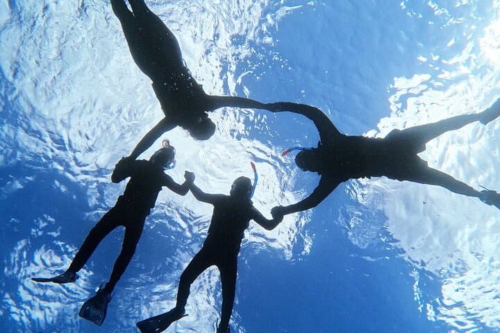 Turtle Snorkeling in Ishigaki - Fluent English! Small Group! — photo 16