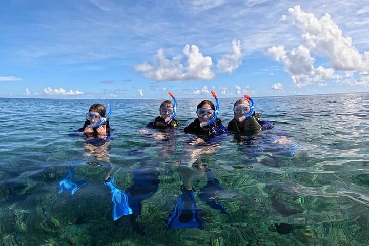 Turtle Snorkeling in Ishigaki - Fluent English! Small Group! — photo 19