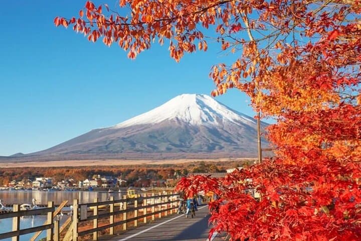 Mt. Fuji Twin Lakes Cycling Adventure Scenic Spots & Leisure Ride — photo 5