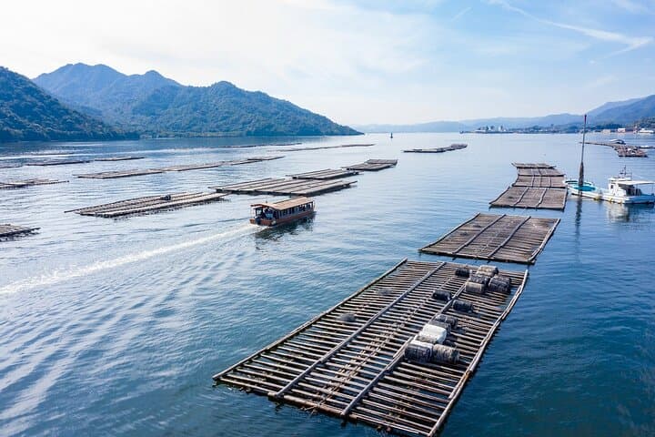 Miyajima Guided Tour and Fresh Oyster Farm Tour — photo 5