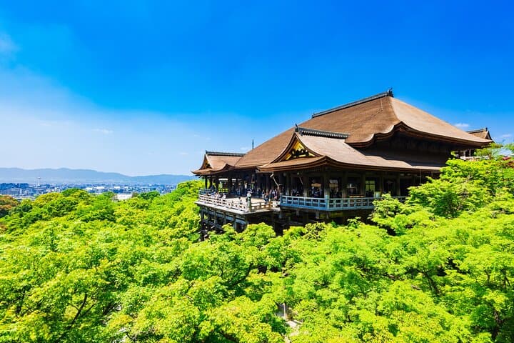 1 day Kyoto Timeless Beauty Tour Temples and Geisha District — photo 1
