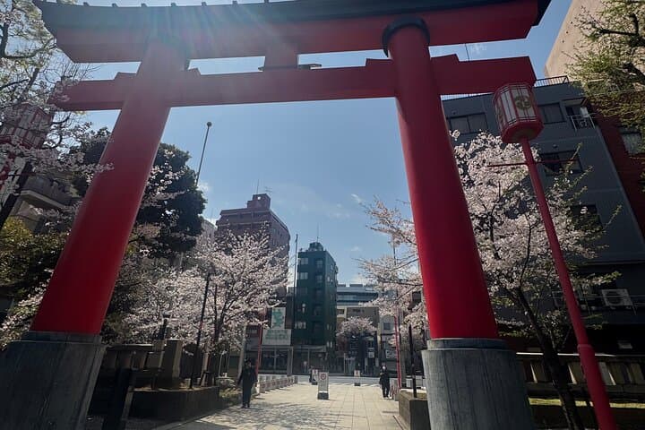 Goshuin Collecting & Garden Walk in Local Tokyo — photo 16