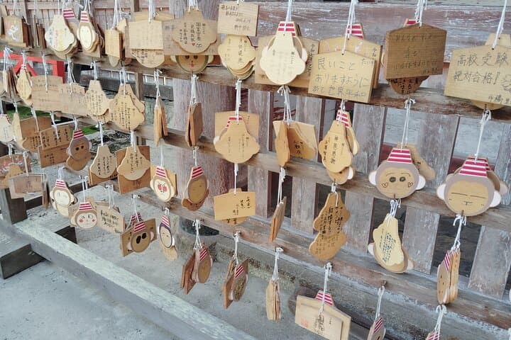 Shiga: Sakamoto Walking Tour of Stone Walls Faith and History — photo 7