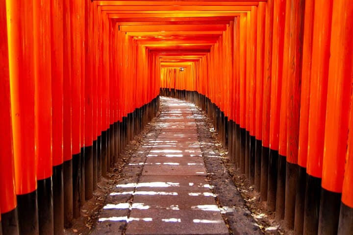 1-Day Kyoto Highlights Tour Temple, Castle, Market and Shrine — photo 6