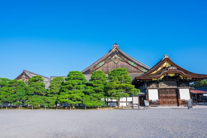 1-Day Kyoto Highlights Tour Temple, Castle, Market and Shrine — photo 8