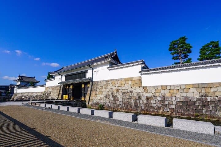 1-Day Kyoto Highlights Tour Temple, Castle, Market and Shrine — photo 1