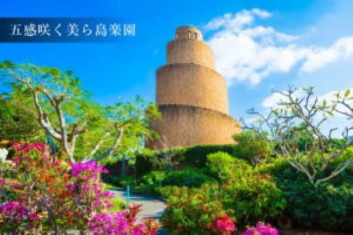 Okinawa HIP-HOP BUS B - 1 Course Tour (Okinawa Churaumi Aquarium) — photo 4