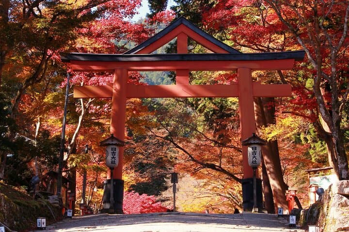 Private Tour to Kyu Chikurinin Garden by Car — photo 5