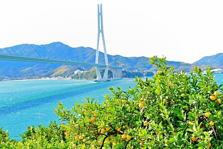 Pedal Through Art Ikuchijima Island Cycling Tour