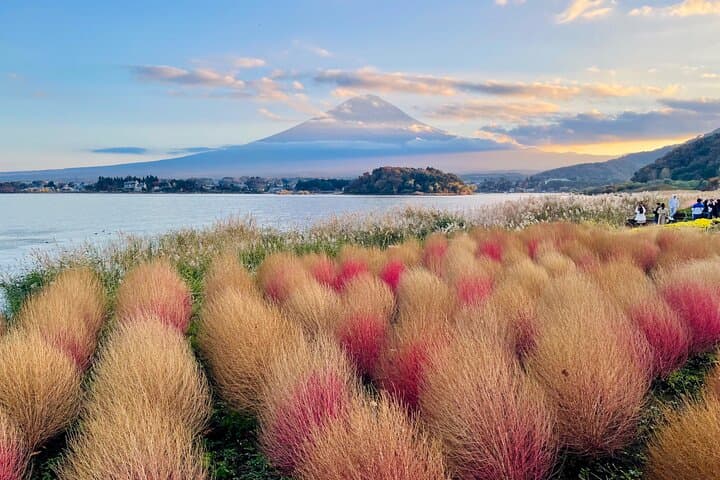 Mt. Fuji Autumn leaves And Heritage Village Trip Tokyo — photo 5
