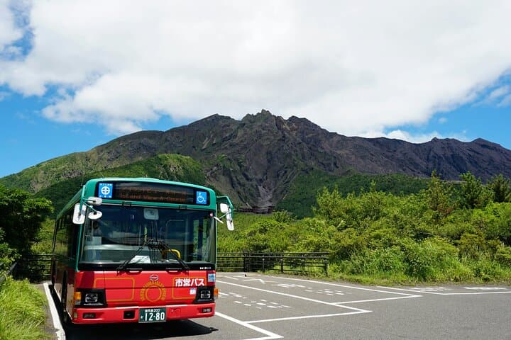 Kagoshima Private Shore Excursion Sakurajima and Sengan-en — photo 11