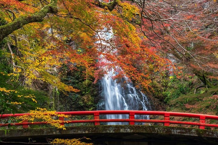 Nikko Private Day Tour - English Guide - Shrine, Waterfall, Onsen — photo 10