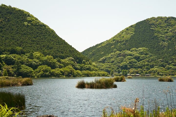 Private Shore Tour: Kagoshima Winter Crane Watching — photo 2