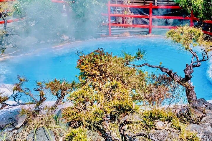 Private Beppu Hell Sightseeing Tour by Car — photo 7
