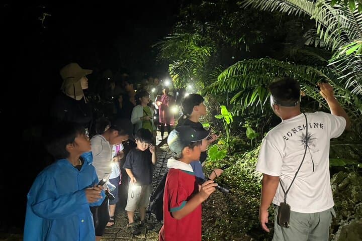Miyakojima:Night tour ｜Pick-up OK｜Jungle night tour & Starry sky — photo 16