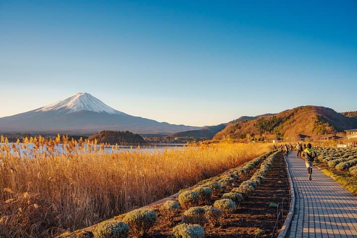 Mt. Fuji Autumn leaves And Heritage Village Trip Tokyo — photo 9