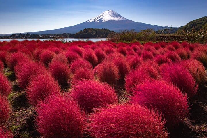 Mt. Fuji Autumn leaves And Heritage Village Trip Tokyo — photo 6