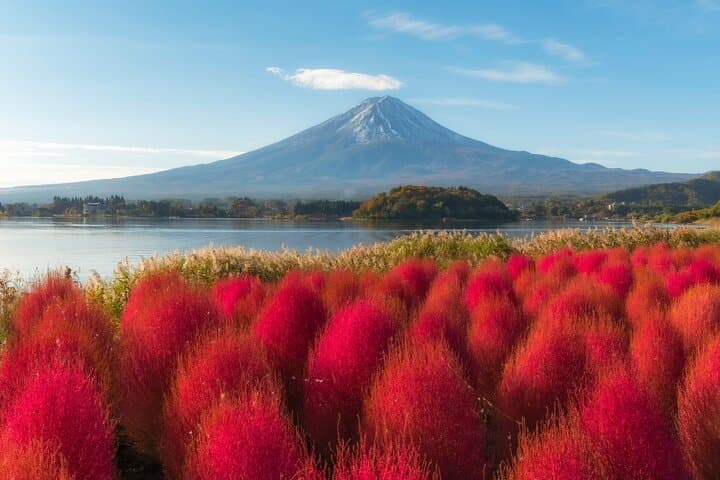 From Tokyo Mt.Fuji, Lake Kawaguchi, Makaino Farm day tour — photo 3