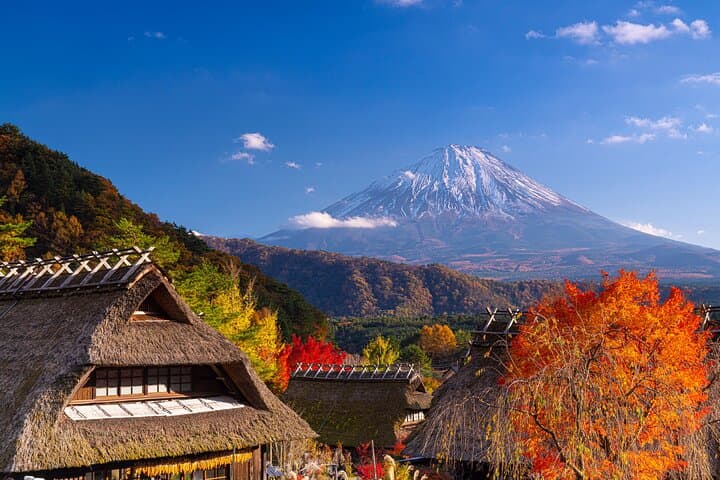 Mt. Fuji Autumn leaves And Heritage Village Trip Tokyo — photo 2