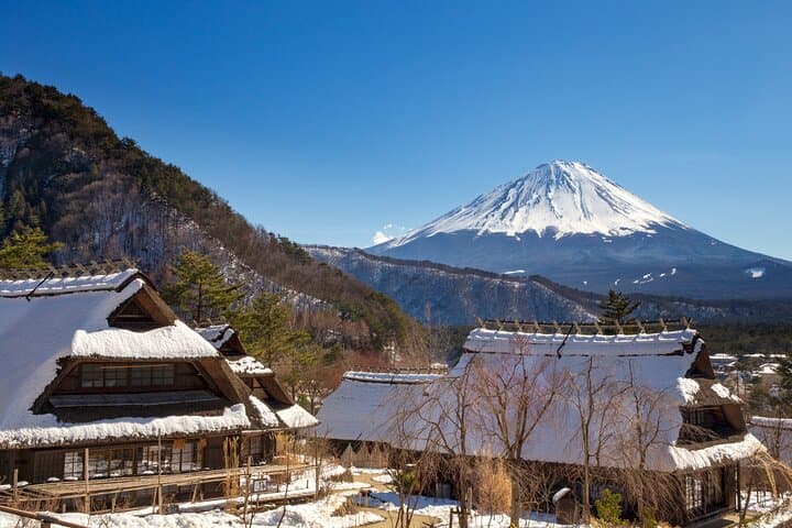 From Tokyo Mt.Fuji, Lake Kawaguchi, Makaino Farm day tour — photo 8