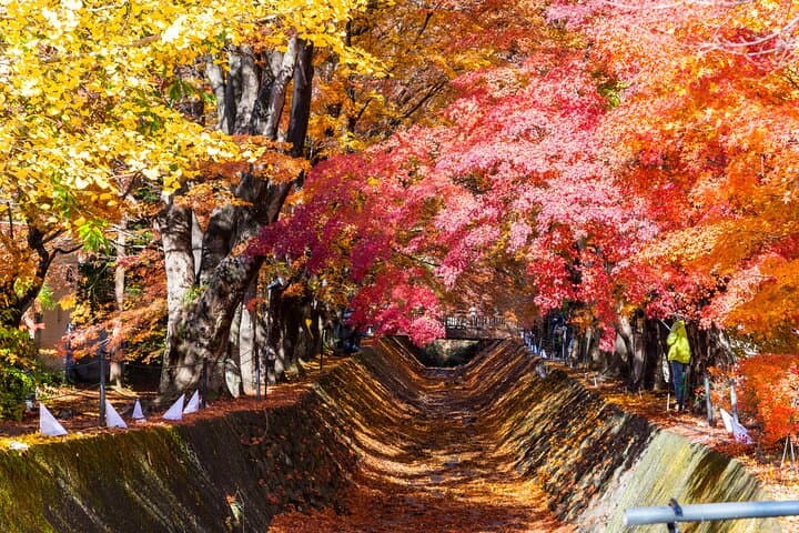 Mt. Fuji Autumn leaves And Heritage Village Trip Tokyo — photo 12