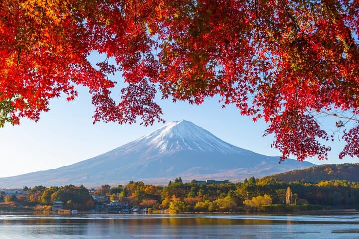 Mt. Fuji Autumn leaves And Heritage Village Trip Tokyo — photo 1