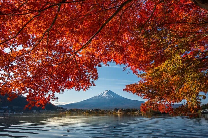 Mt. Fuji Autumn leaves And Heritage Village Trip Tokyo — photo 13