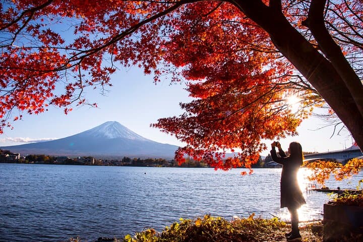 Mt. Fuji Autumn leaves And Heritage Village Trip Tokyo — photo 11