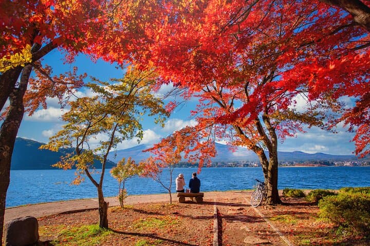 Mt. Fuji Autumn leaves And Heritage Village Trip Tokyo — photo 16