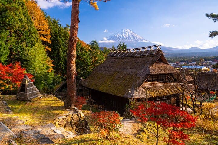 Mt. Fuji Autumn leaves And Heritage Village Trip Tokyo — photo 3