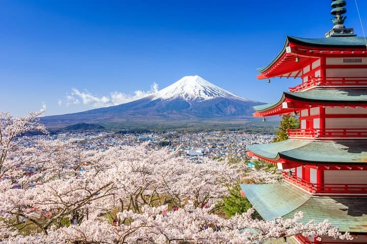 Mount Fuji Kawagoe and Hikawa Shrine Day Trip — photo 5